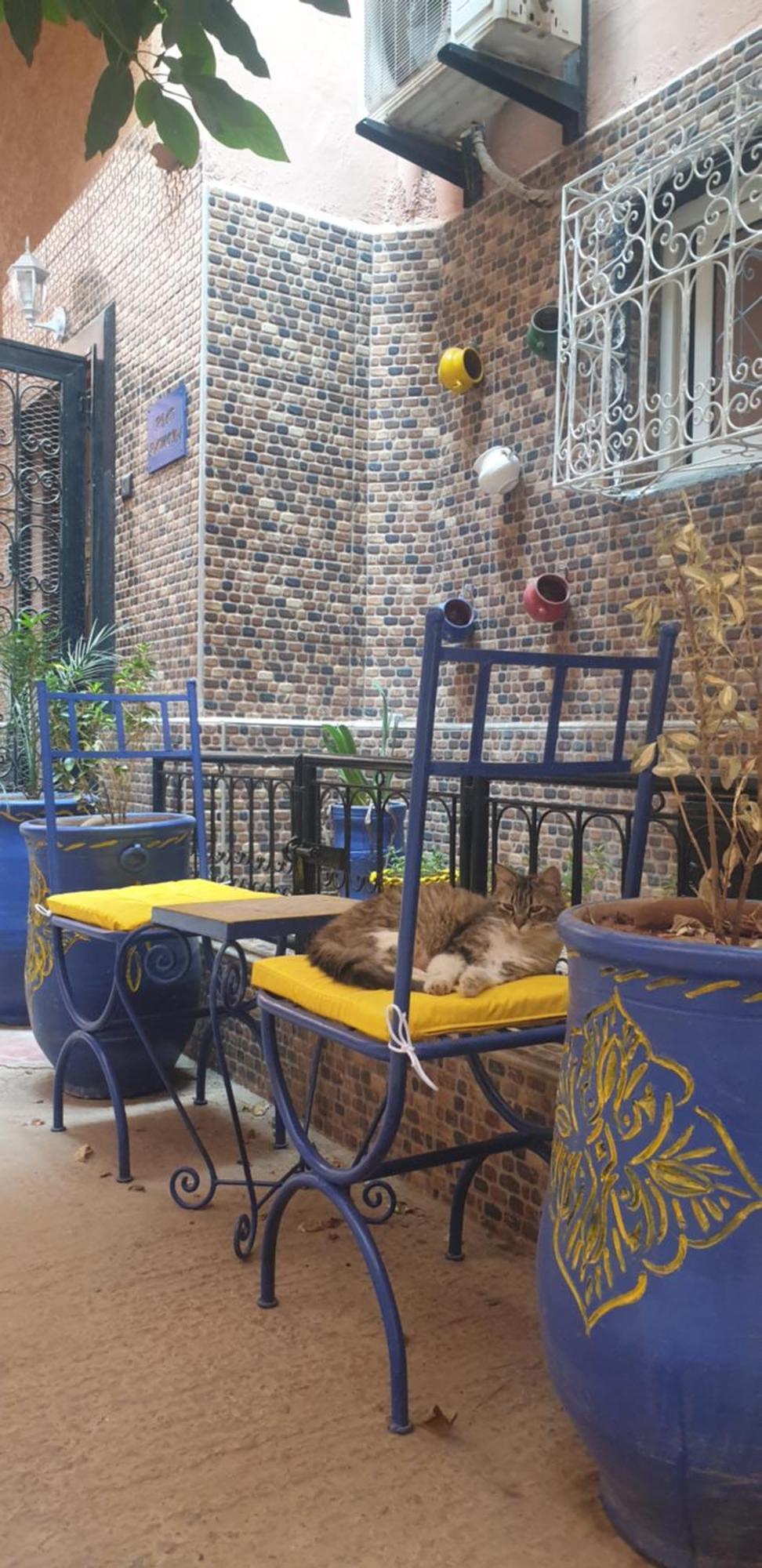 Riad Ramona Lqariya Seyaheya Marrakesh Bagian luar foto